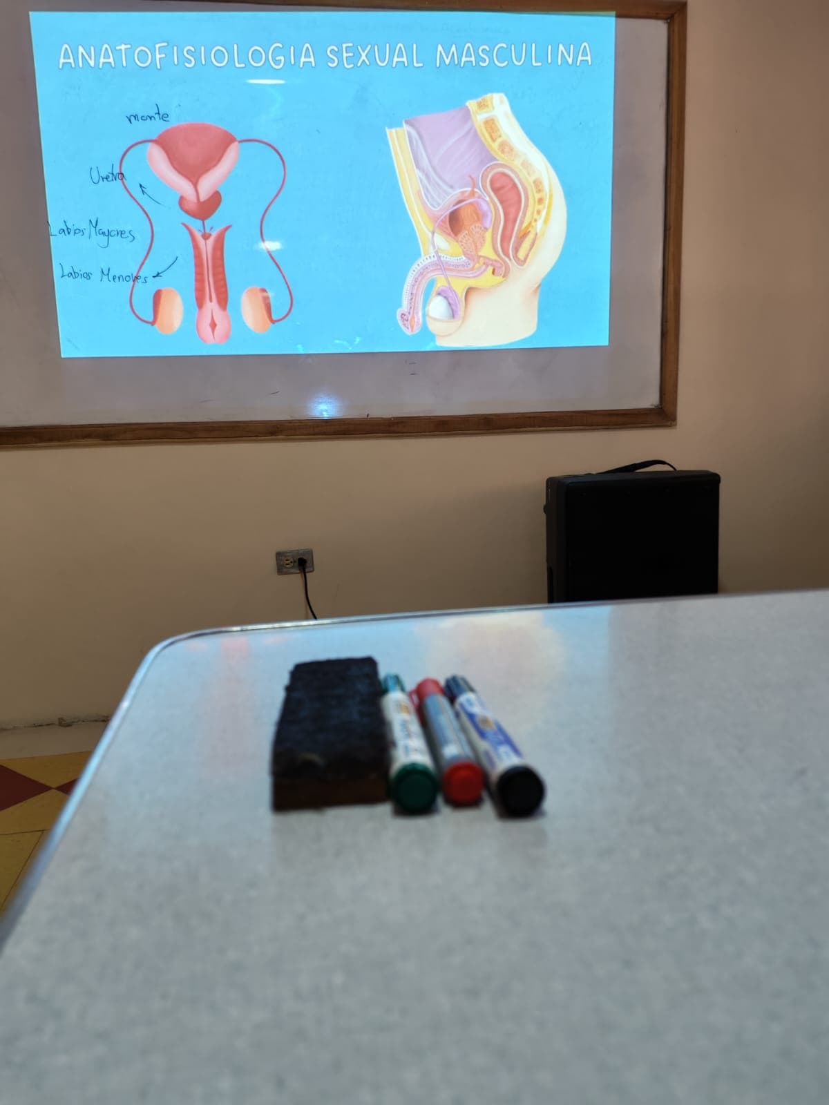 Charla de anatomía y fisiología impartida por EduSaludCC
